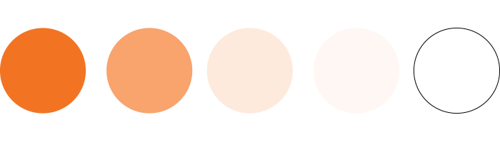 Color Palette